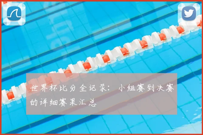 世界杯比分全记录：小组赛到决赛的详细赛果汇总