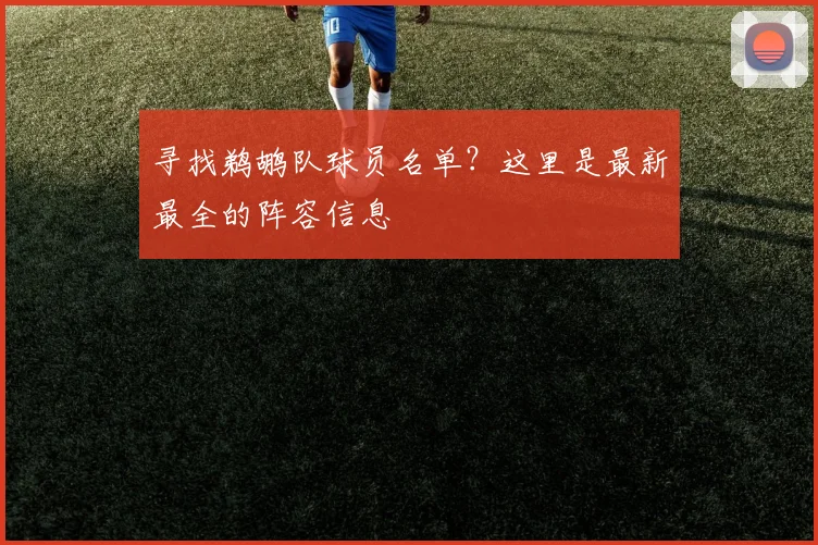 寻找鹈鹕队球员名单？这里是最新最全的阵容信息
