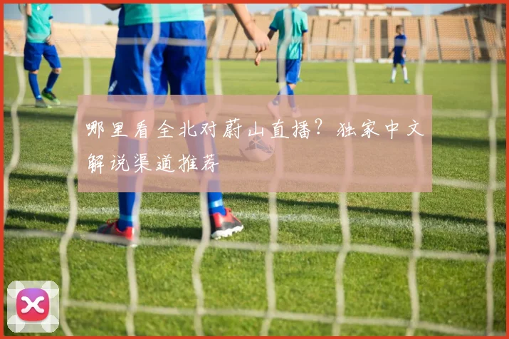 哪里看全北对蔚山直播？独家中文解说渠道推荐