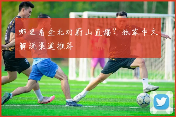 哪里看全北对蔚山直播?独家中文解说渠道推荐