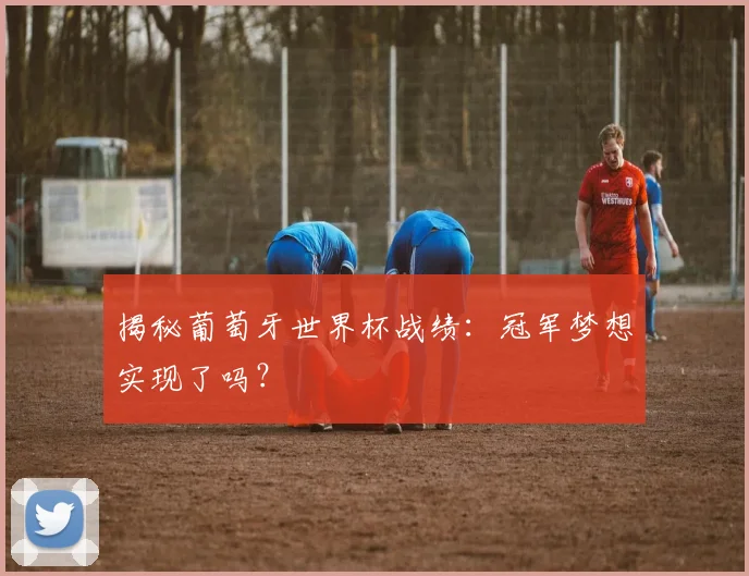 揭秘葡萄牙世界杯战绩：冠军梦想实现了吗？