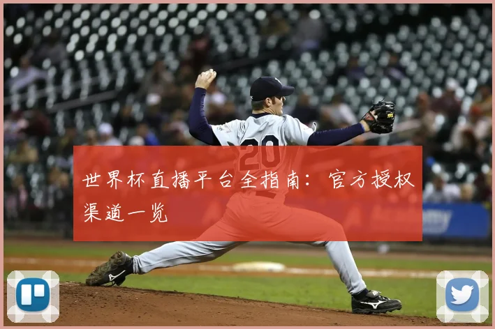 世界杯直播平台全指南：官方授权渠道一览