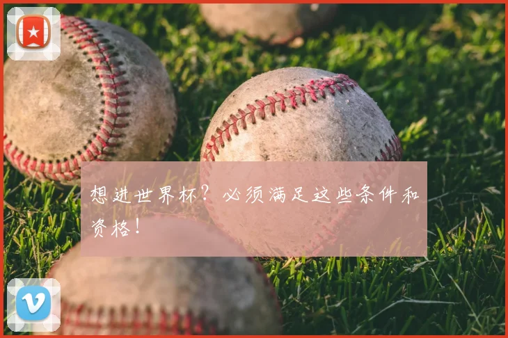 想进世界杯？必须满足这些条件和资格！