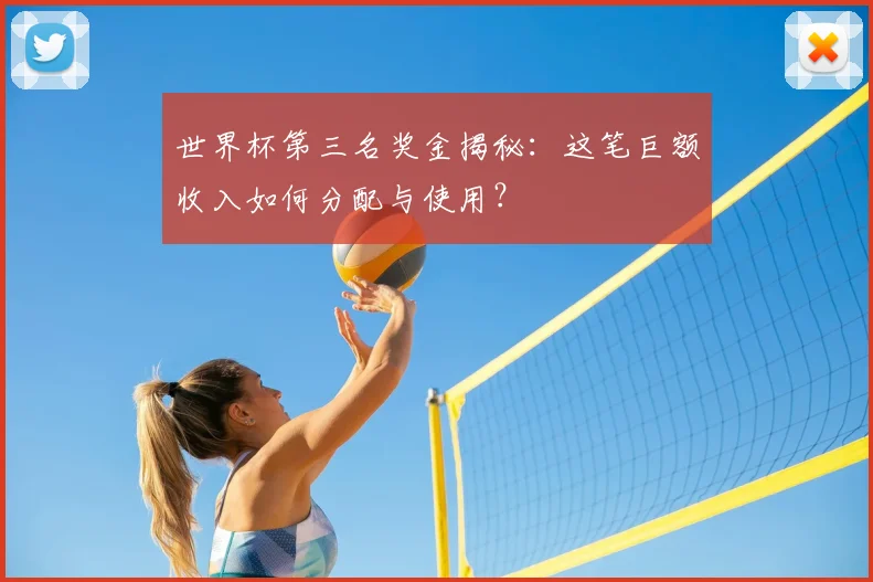 世界杯第三名奖金揭秘：这笔巨额收入如何分配与使用？