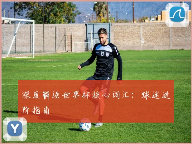 深度解读世界杯核心词汇：球迷进阶指南