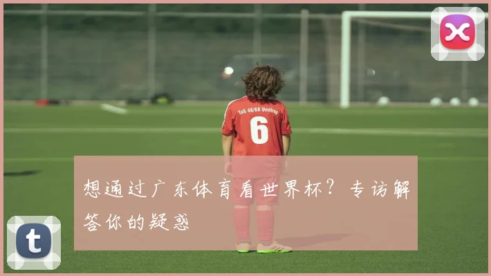 想通过广东体育看世界杯?专访解答你的疑惑