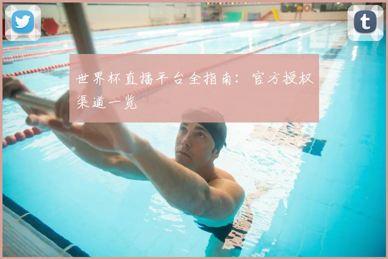 世界杯直播平台全指南：官方授权渠道一览