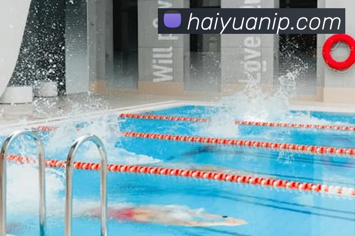 App Interface Preview